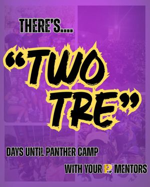 Image post by @p3pvamu on Instagram