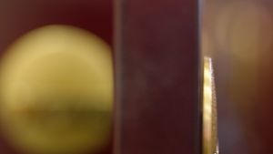 Image post by @szaboslens on Instagram