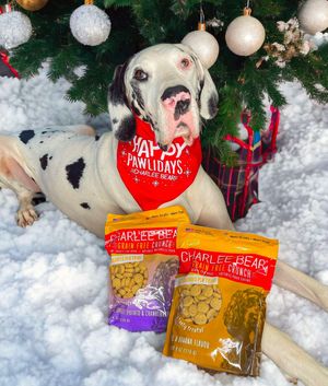 Image post by @charlee_bear_dogtreats on Instagram