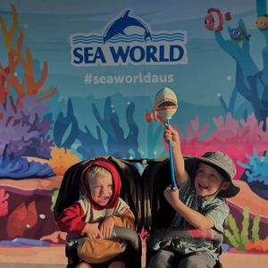 Image post by @seaworldaus on Instagram