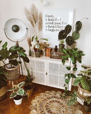 Image post by @madedotcom on Instagram