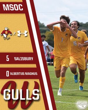 Image post by @suseagulls on Instagram