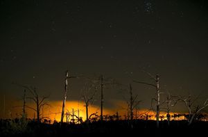 Image post by @statesman on Instagram