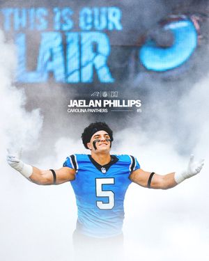 Image post by @Panthers on Twitter