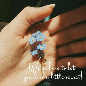 Image post by @leafyaffair on Instagram