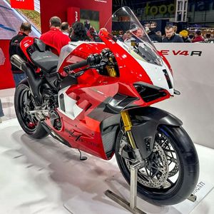 Image post by @panigalers on Instagram