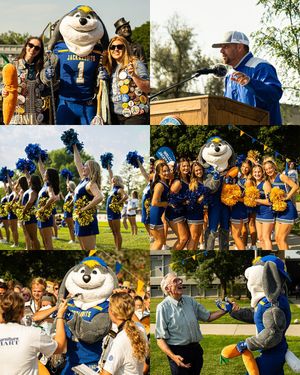 Image post by @gojackssdsu on Instagram