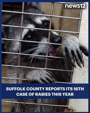 Image post by @news12li on Instagram
