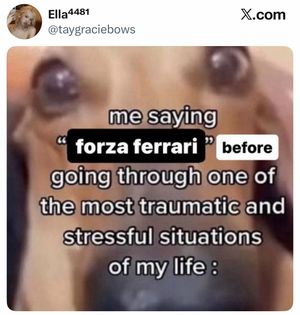 Video post by @thegistsports on TikTok