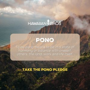 Image post by @hawaiianbros on Instagram