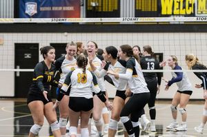 Image post by @gopetrelsvb on Instagram