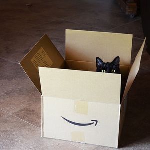 Image post by @amazon on Instagram