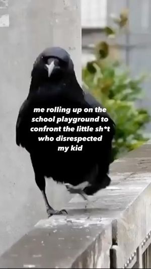Video post by @nycgaydad on Instagram