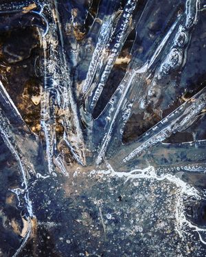 Image post by @cristan.nature.photography on Instagram