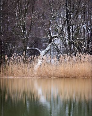 Image post by @cristan.nature.photography on Instagram