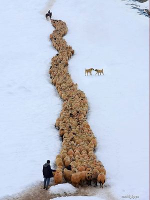 Image post by @fubiz on Instagram
