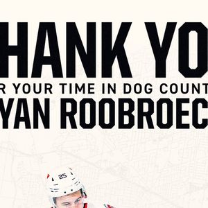 Image post by @ohlicedogs on Instagram