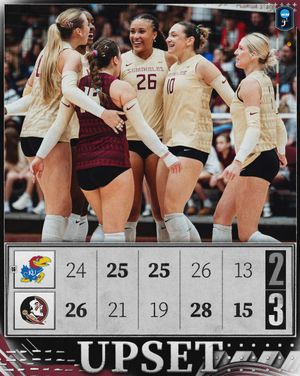 Image post by @ncaavolleyball on Instagram