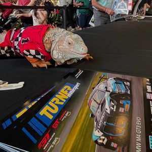 Image post by @turnermotorsport on Instagram