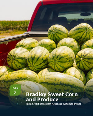 Image post by @farmcredit on Instagram