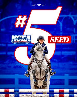 Image post by @smuequestrian on Instagram
