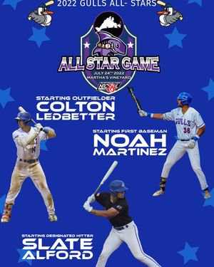 Image post by @newportgulls on Instagram