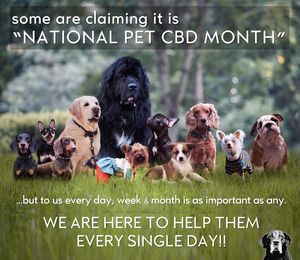 Image post by @drhempdog on Instagram