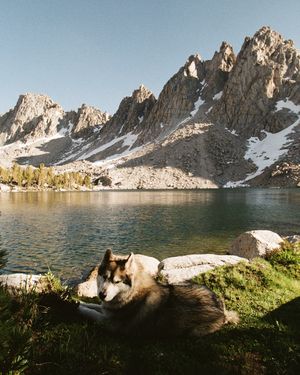 Image post by @lauraroze on Instagram