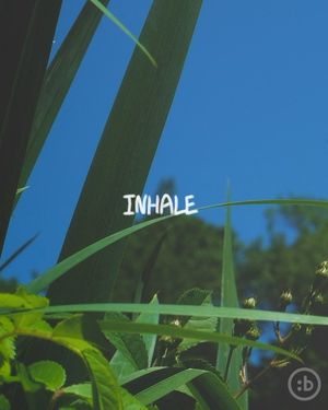 Video post by @betr on Instagram