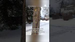 Video post by @accuweather on YouTube