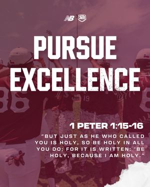 Image post by @twelvebaseball on Instagram