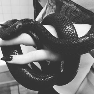 Image post by @zero.eden on Instagram