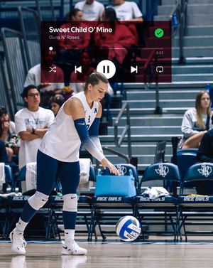 Image post by @ricevolleyball on Instagram