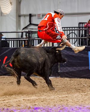 Image post by @ultimatebullfighters on Instagram