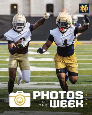 Image post by @thefightingirish on Instagram