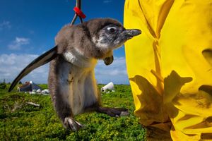 Image post by @natgeo on Instagram