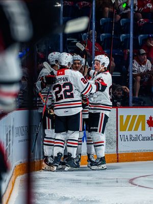 Image post by @ohlicedogs on Instagram