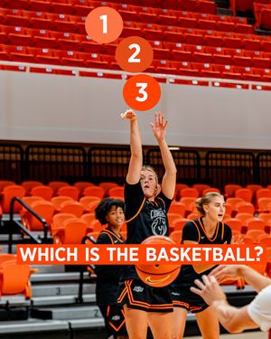Image post by @osuwbb on Instagram