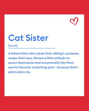 Image post by @petsmart on Instagram