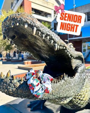 Image post by @gatorsstudents on Instagram