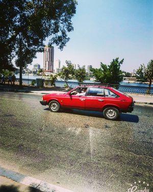 Image post by @faragelo22 on Instagram