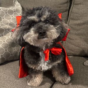 Image post by @bobvsoccer on Instagram