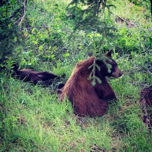 Image post by @mtnorquay on Instagram