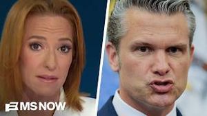 Video post by @msnbc on YouTube