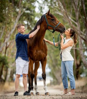Image post by @flemingtonvrc on Instagram