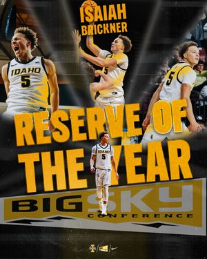 Image post by @vandalhoops on Instagram