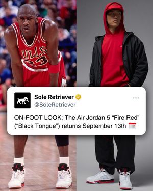 Image post by @soleretriever on Instagram
