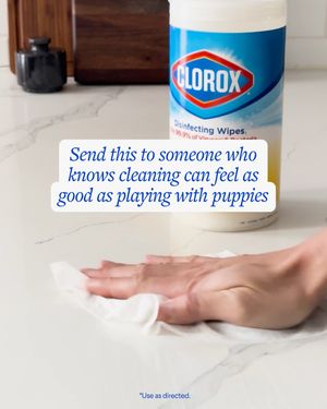 Image post by @clorox on Instagram
