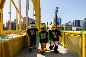 Image post by @Pirate_Parrot on Twitter