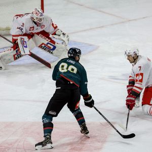 Image post by @belfastgiants on Instagram